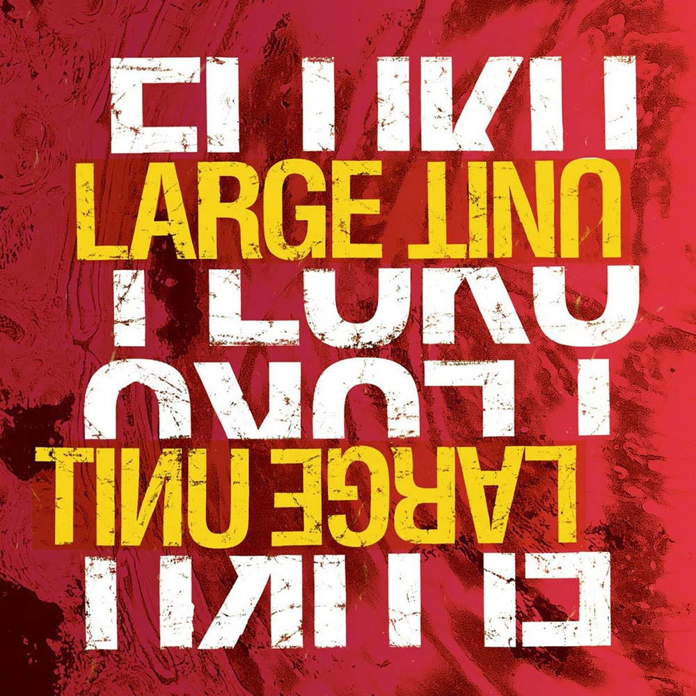 «Fluku» cover